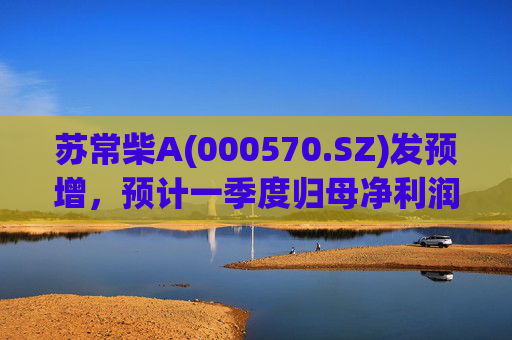 苏常柴A(000570.SZ)发预增，预计一季度归母净利润7000万元至8000万元，同比增长60.11%至82.98%  第1张