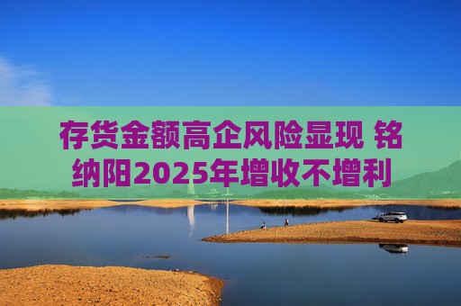 存货金额高企风险显现 铭纳阳2025年增收不增利