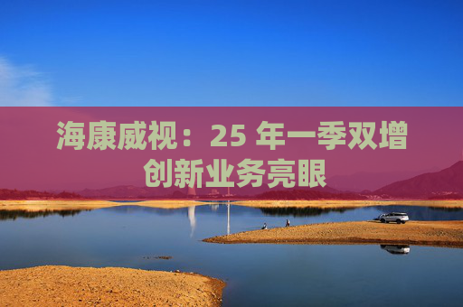 海康威视：25 年一季双增 创新业务亮眼