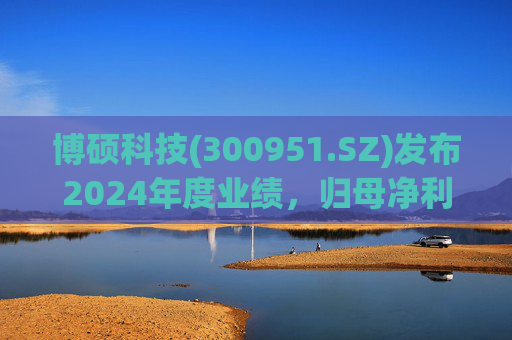 博硕科技(300951.SZ)发布2024年度业绩,归母净利润2.11亿元,同比下降17.35%