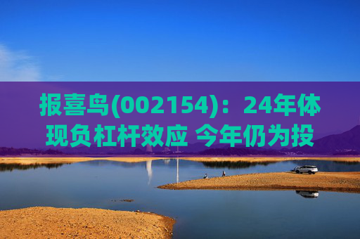 报喜鸟(002154)：24年体现负杠杆效应 今年仍为投入年