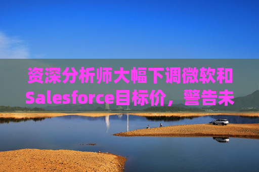 资深分析师大幅下调微软和Salesforce目标价，警告未来一年将"艰难"