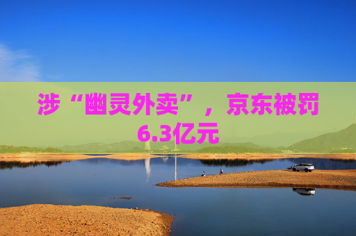 涉“幽灵外卖”，京东被罚6.3亿元