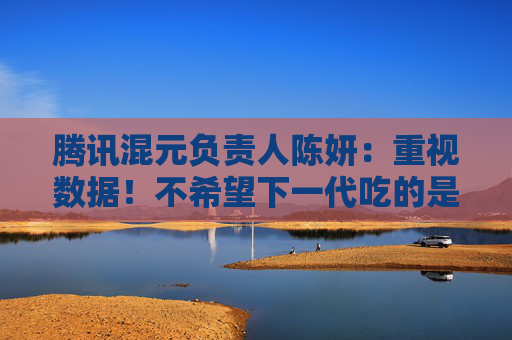 腾讯混元负责人陈妍：重视数据！不希望下一代吃的是大模型吐出来的垃圾