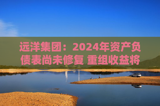 远洋集团:2024年资产负债表尚未修复 重组收益将于2025年释放