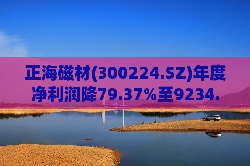 正海磁材(300224.SZ)年度净利润降79.37%至9234.02万元 高性能钕铁硼永磁材料销量实现连续七年增长 第1张 正海磁材(300224.SZ)年度净利润降79.37%至9234.02万元 高性能钕铁硼永磁材料销量实现连续七年增长 第1张