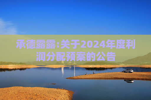 承德露露:关于2024年度利润分配预案的公告