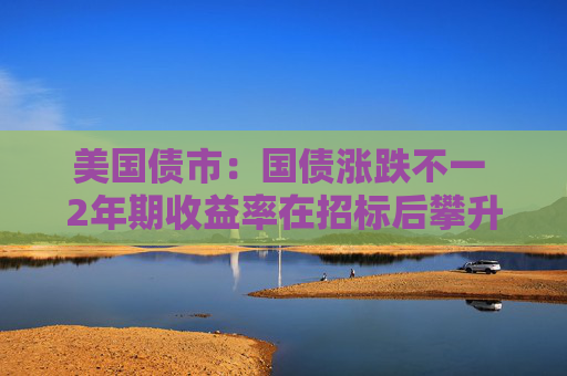 美国债市：国债涨跌不一 2年期收益率在招标后攀升