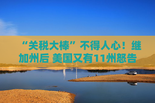 “关税大棒”不得人心！继加州后 美国又有11州怒告特朗普政府  第1张