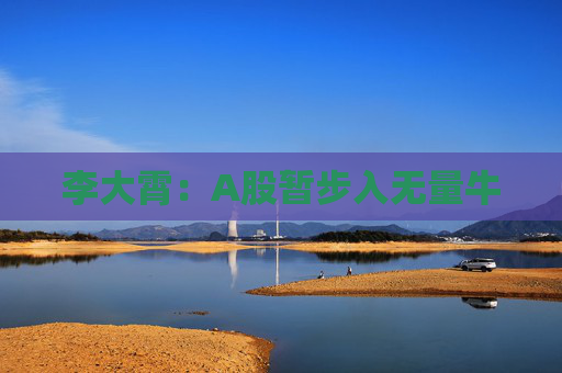 李大霄：A股暂步入无量牛