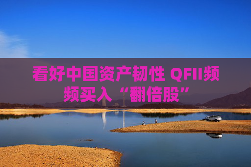 看好中国资产韧性 QFII频频买入“翻倍股”