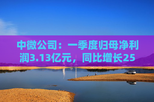 中微公司:一季度归母净利润3.13亿元,同比增长25.67%