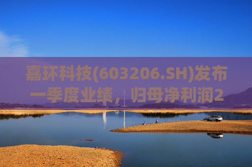 嘉环科技(603206.SH)发布一季度业绩，归母净利润2021.72万元，同比下降21.02%