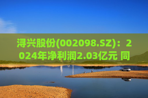 浔兴股份(002098.SZ)：2024年净利润2.03亿元 同比增长64.35%