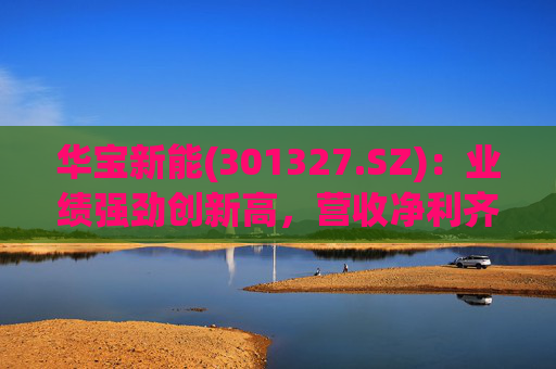 华宝新能(301327.SZ)：业绩强劲创新高，营收净利齐突破