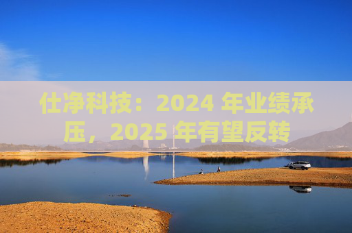 仕净科技：2024 年业绩承压，2025 年有望反转