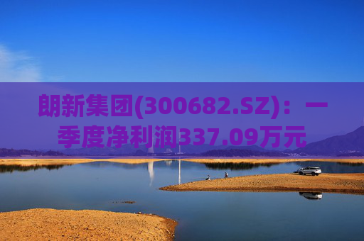 朗新集团(300682.SZ)：一季度净利润337.09万元