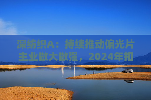 深纺织A：持续推动偏光片主业做大做强，2024年扣非归母净利润增长23.58%