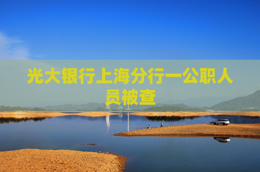 光大银行上海分行一公职人员被查