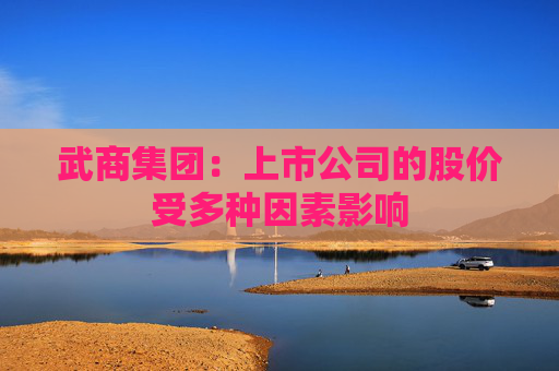 武商集团：上市公司的股价受多种因素影响