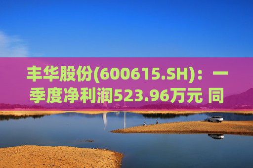 丰华股份(600615.SH):一季度净利润523.96万元 同比增长645.11%