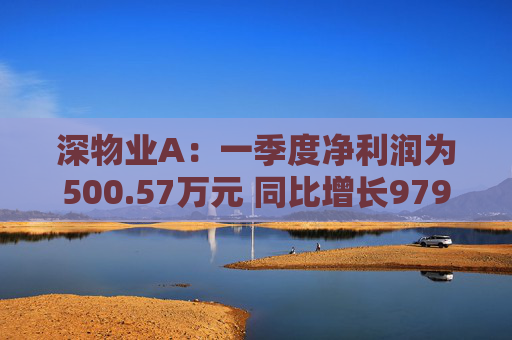 深物业A：一季度净利润为500.57万元 同比增长979.79%