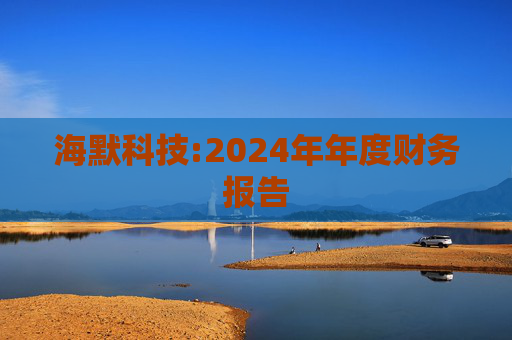 海默科技:2024年年度财务报告