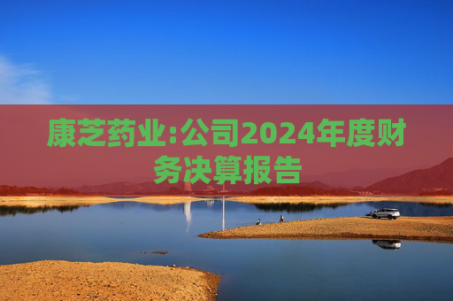 康芝药业:公司2024年度财务决算报告
