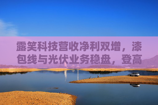 露笑科技营收净利双增,漆包线与光伏业务稳盘,登高机成增长新引擎 第1张 露笑科技营收净利双增,漆包线与光伏业务稳盘,登高机成增长新引擎 第1张