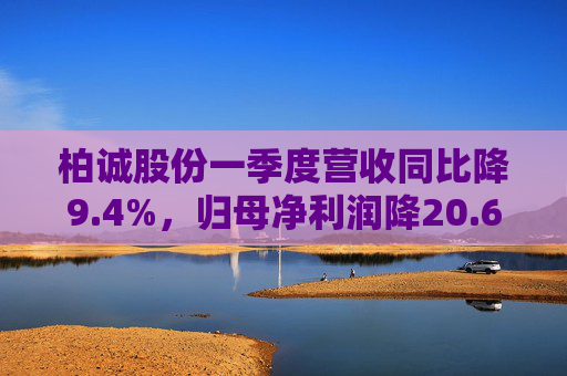 柏诚股份一季度营收同比降9.4%，归母净利润降20.6%