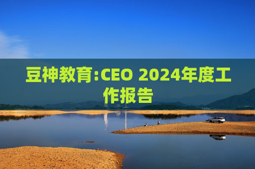 豆神教育:CEO 2024年度工作报告