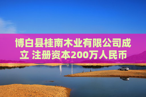 博白县桂南木业有限公司成立 注册资本200万人民币  第1张