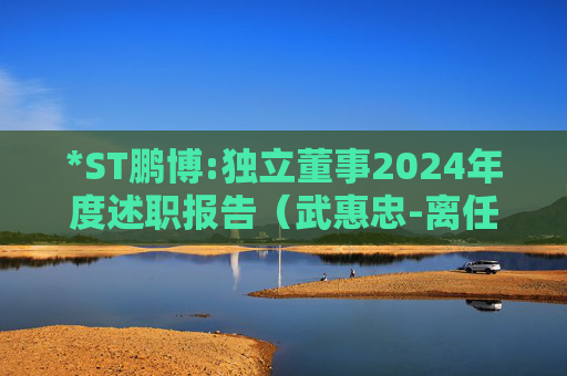 *ST鹏博:独立董事2024年度述职报告(武惠忠-离任)