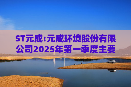 ST元成:元成环境股份有限公司2025年第一季度主要经营数据的公告