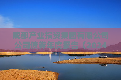 成都产业投资集团有限公司公司债券年度报告（2024年）