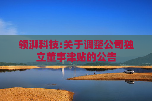 领湃科技:关于调整公司独立董事津贴的公告