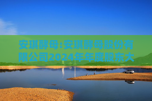 安琪酵母:安琪酵母股份有限公司2024年年度股东大会决议公告
