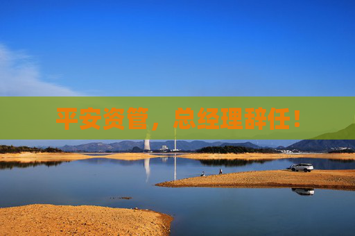 平安资管，总经理辞任！