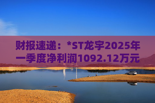 财报速递:*ST龙宇2025年一季度净利润1092.12万元