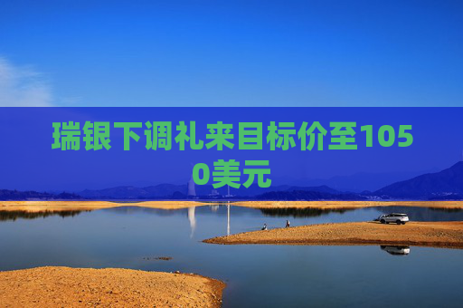 瑞银下调礼来目标价至1050美元  第1张