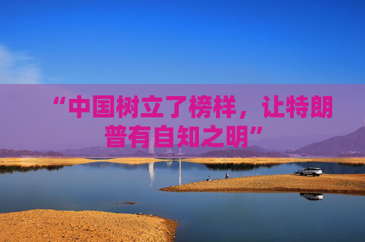 “中国树立了榜样，让特朗普有自知之明”