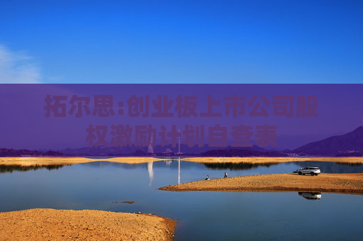拓尔思:创业板上市公司股权激励计划自查表