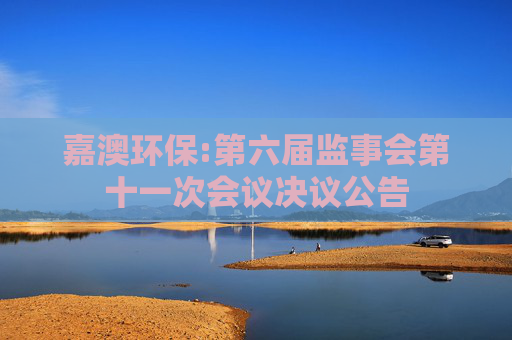 嘉澳环保:第六届监事会第十一次会议决议公告
