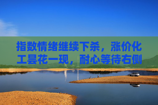 指数情绪继续下杀，涨价化工昙花一现，耐心等待右侧机会 #A股 #指数 #大盘 #量化 #短线
