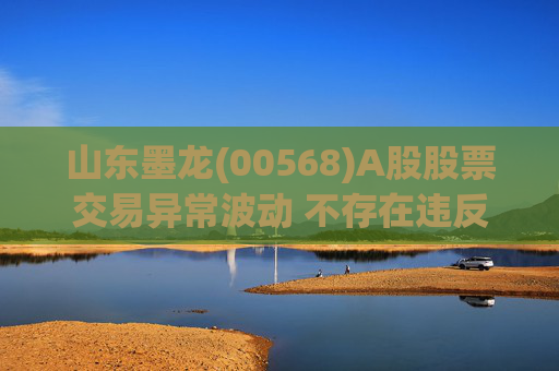 山东墨龙(00568)A股股票交易异常波动 不存在违反信息公平披露的情形