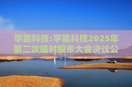 孚能科技:孚能科技2025年第二次临时股东大会决议公告