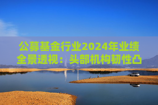 公募基金行业2024年业绩全景透视：头部机构韧性凸显 中小公司差异化突围