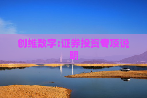 创维数字:证券投资专项说明