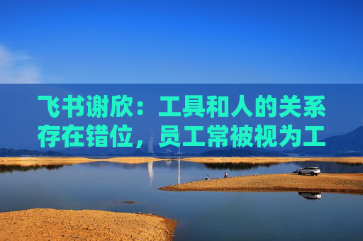 飞书谢欣：工具和人的关系存在错位，员工常被视为工具的附属