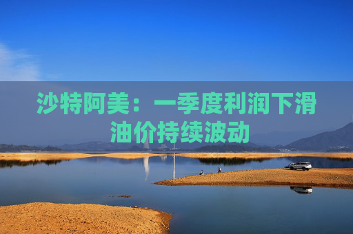 沙特阿美：一季度利润下滑 油价持续波动